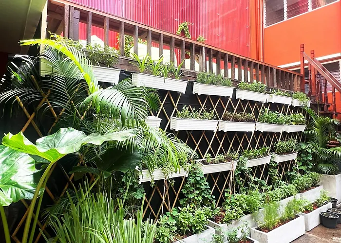 Vonden Garden By Merry V Pensión 3*